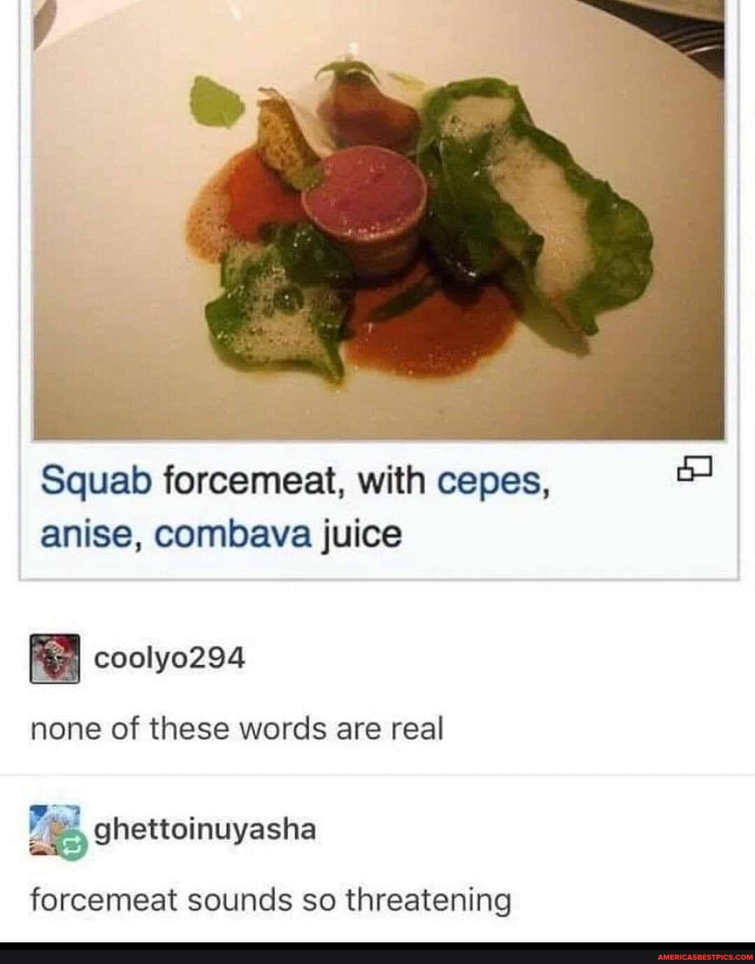 Squab forcemeat, with cepes, anise, combava juice
none of these words are real
forcemeat sounds so threatening