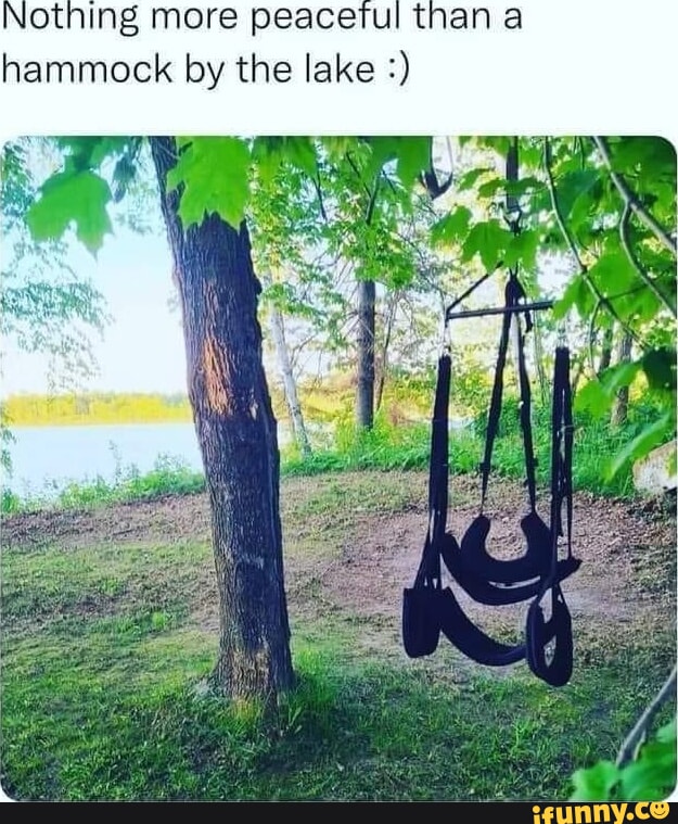 Hammock memes. Best Collection of funny Hammock pictures on iFunny