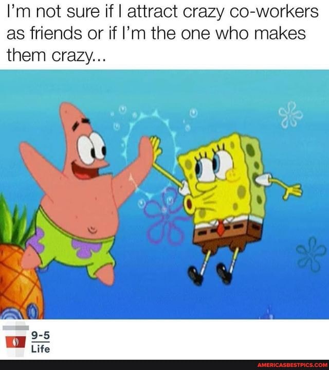 I'm not sure if I attract crazy co-workers as friends or if I'm the one who makes them crazy...
5 ww -