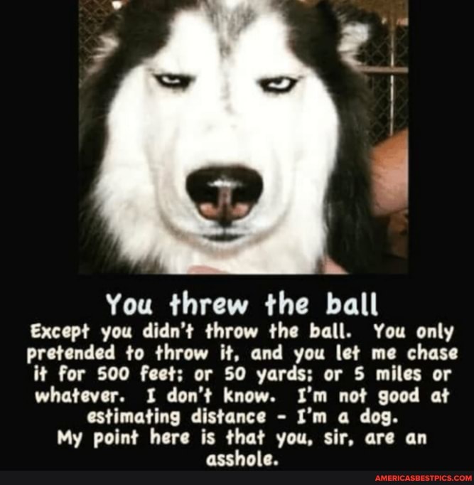 SP You threw the ball Except you didn't throw the ball. You only