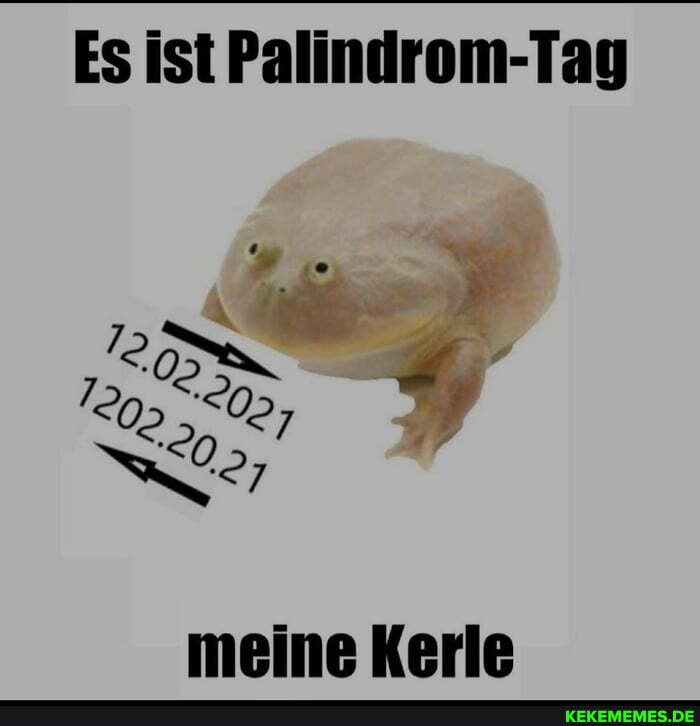 Es ist Palindrom-Tay
02