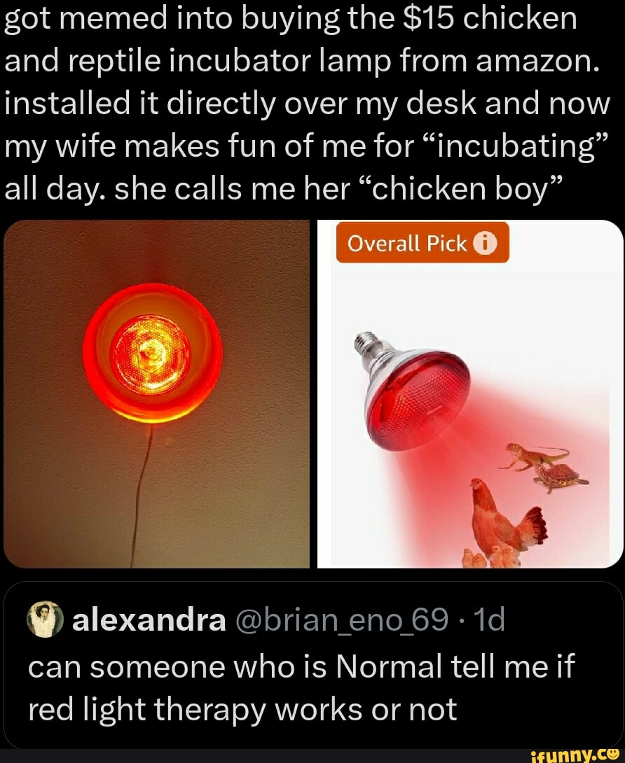 Got memed into buying the $15 chicken and reptile incubator lamp from  amazon. installed it directly