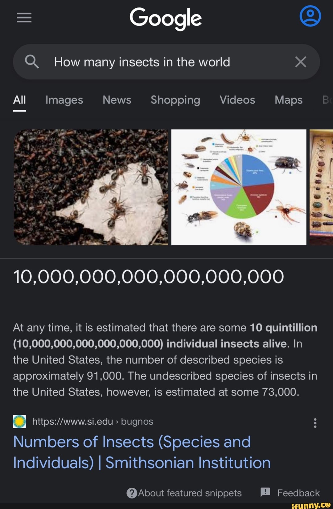 google-how-many-insects-in-the-world-all-images-news-shopping-videos