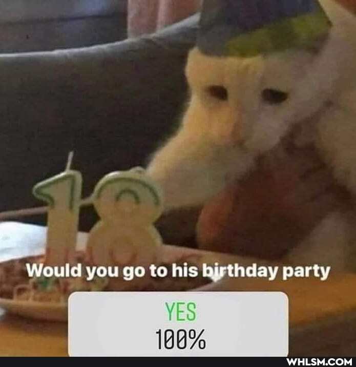 Would you go to his birthday party
YES