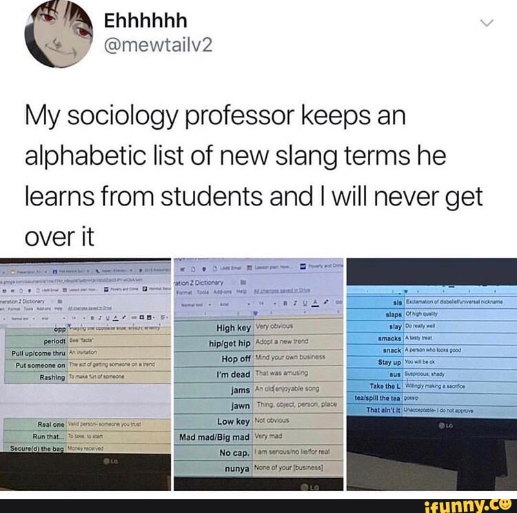 professor dictionary of slang