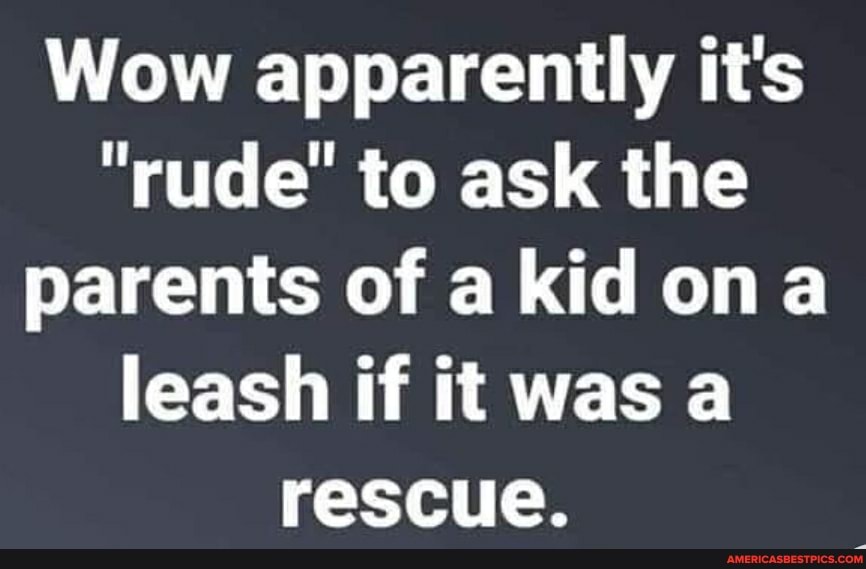 Wow apparently it's
"rude' to ask the parents of a kid ona leash if it was a rescue.