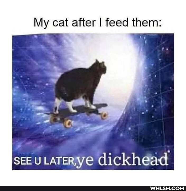 My cat after I feed them:
SE
EU LAT
SEE erye dickhead