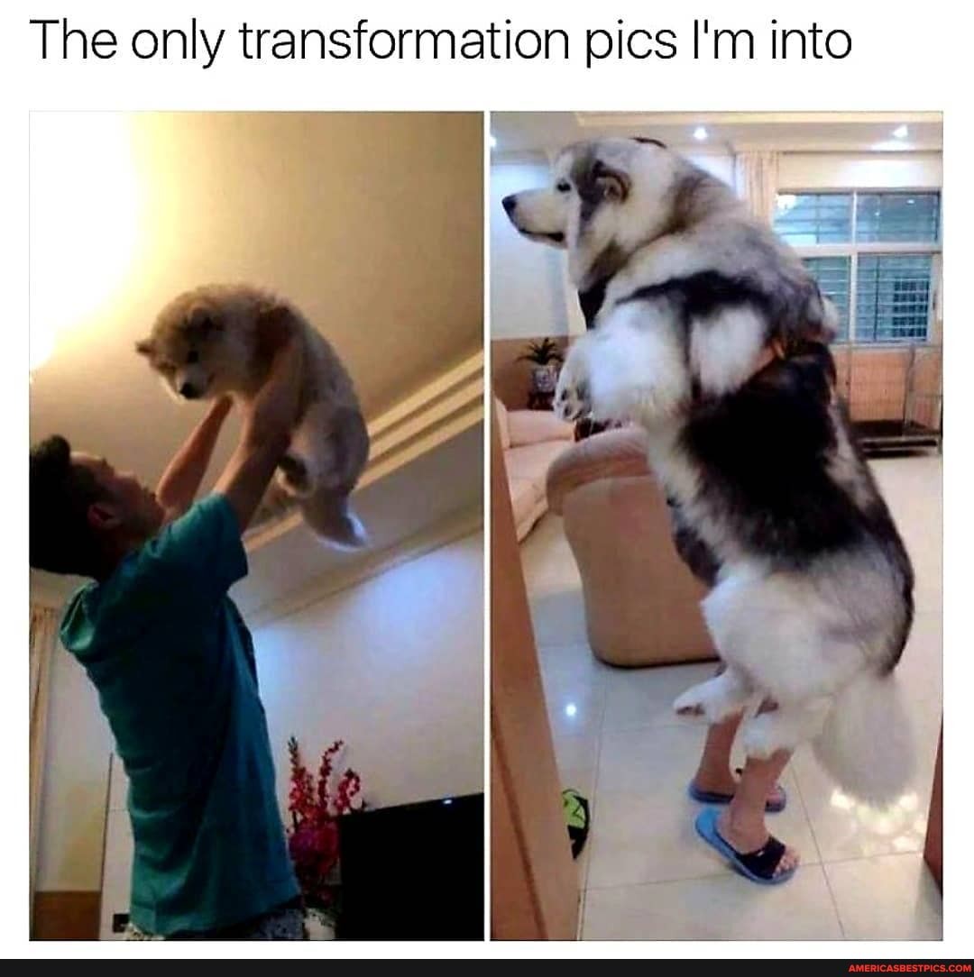 The only transformation pics I'm into