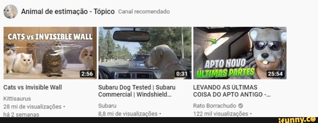Animal de estimação Tópico Canal recomendado
Cats vs Invisible Wall Subaru Dog Tested I Subaru LEVANDO AS ÚLTIMAS
Commercial I Windshield... COISA DO APTO ANTIGO há 2 semanas
8,8 mi de visualizações 122 mil visualizações