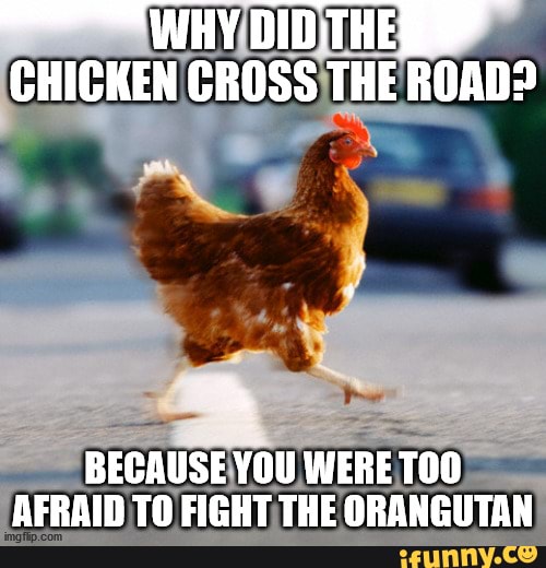 Why Did The Chicken Cross The Road Because You Were Berain To Ficht The Qranciitan