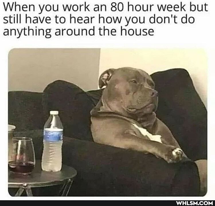 When you work an 80 hour week but still have to hear how you don't do anything around the house