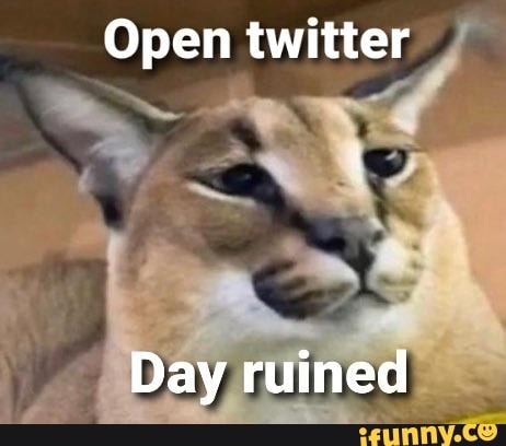 Open twitter Day ruined - iFunny