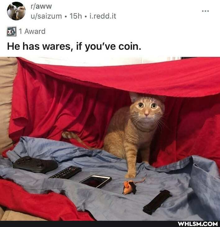 aww
Award
i.redd.it
He has wares, if you've coin.