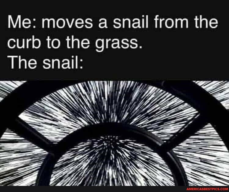 Me: moves a snail from the curb to the grass.
The snail:
NW! per.