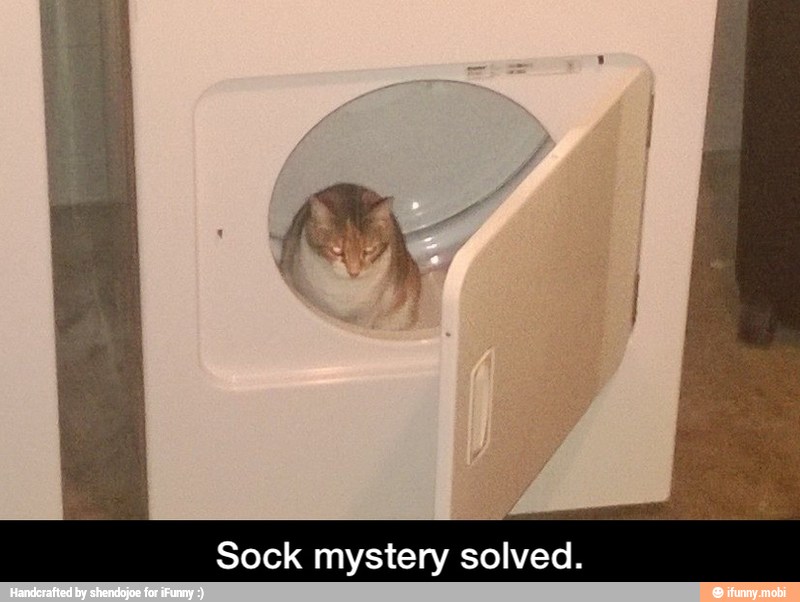 Sock mystery solved. - Sock mystery solved.