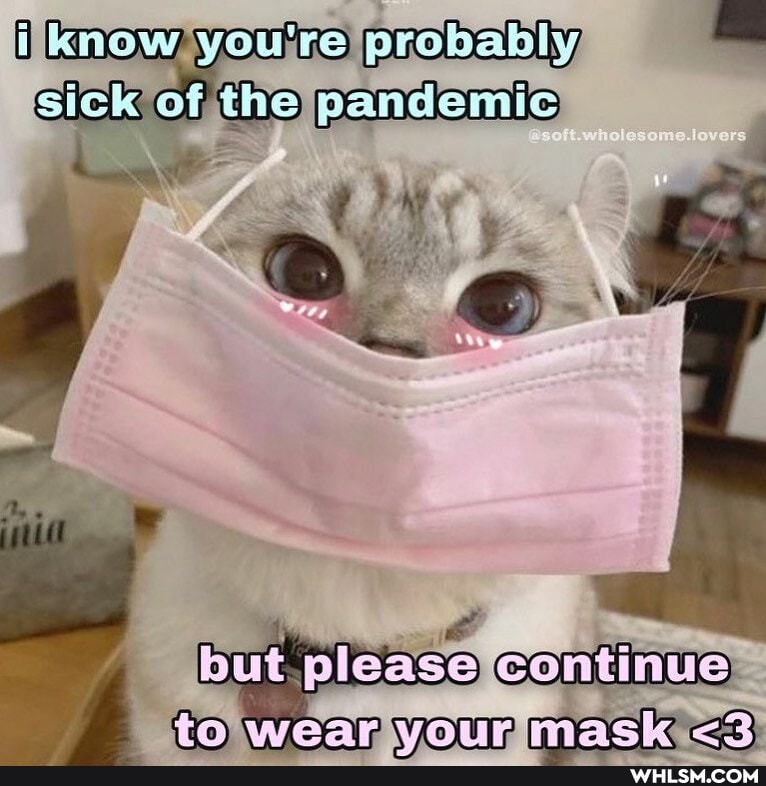 the
please Continue