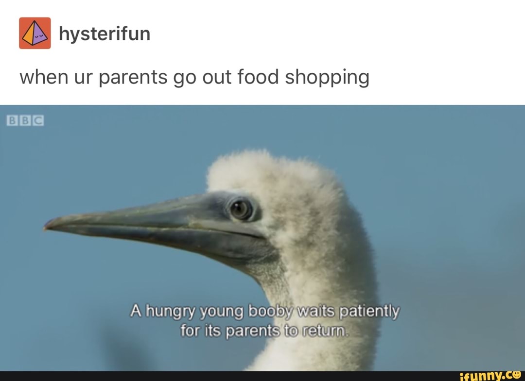 I hysterifun
when ur parents go out food shopping
O