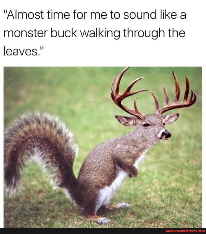 "Almost time for me to sound like a monster buck walking through the leaves."
