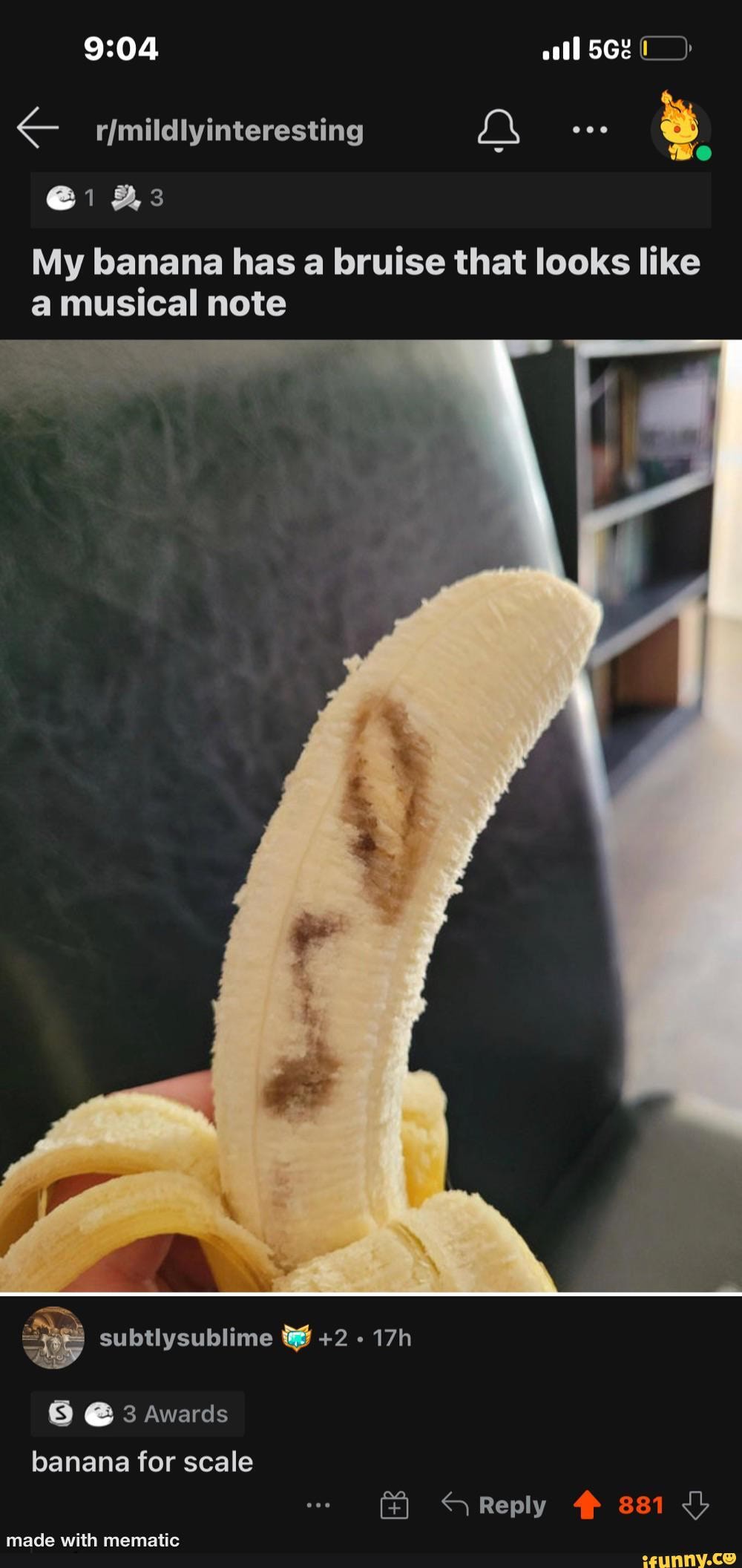 EX rmildlyinteresting 1 3 My banana has a bruise that looks like a musical note subtlysublime