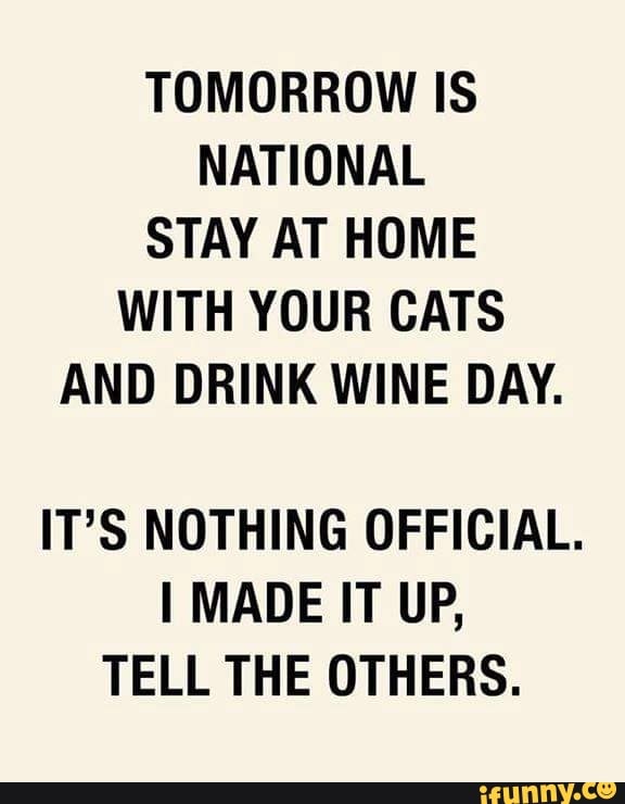 TOMORROW IS NATIONAL STAY AT HOME WITH YOUR CATS AND DRINK WINE DAY. IT ...