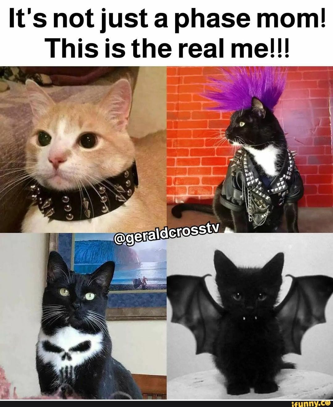 Emo kitties