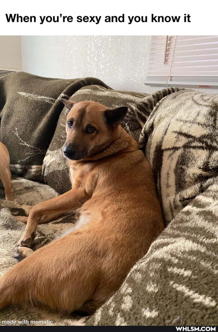 When you're sexy and you know it