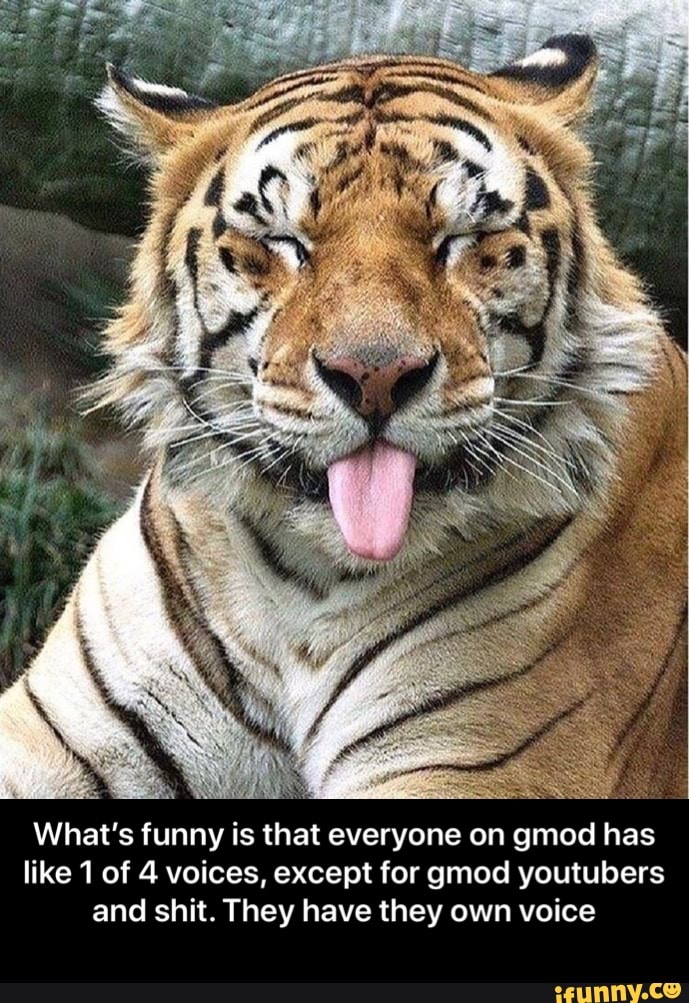 What's funny is that everyone on gmod has
like 1 of 4 voices, except for gmod youtubers
and shit. They have they own voice - What’s funny is that everyone on gmod has like 1 of 4 voices, except for gmod youtubers and shit. They have they own voice