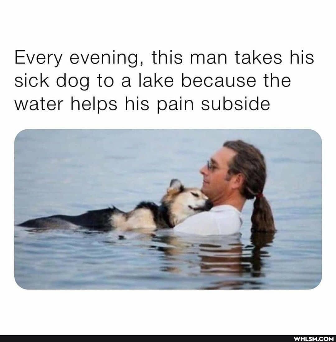 Every evening, this man takes his sick dog to a lake because the water helps his pain subside