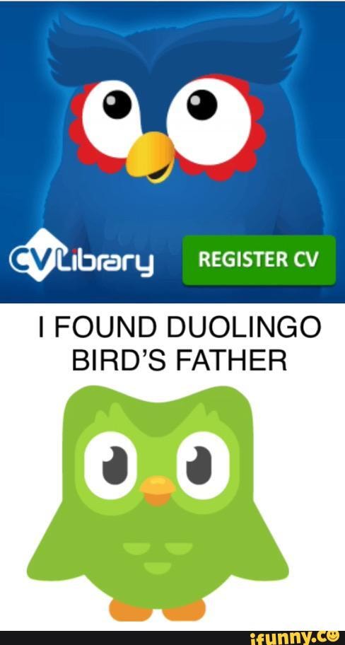 22 Cv rent REGISTER CV I FOUND DUOLINGO BIRD'S FATHER - iFunny