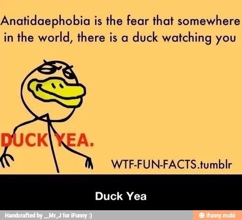 Anatidaephobia is the fear that somewhere
in the world, there is a
duck watching you - Duck Yea