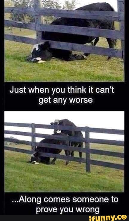 Just when you think it can't get any worse
..Along comes someone to prove you wrong
