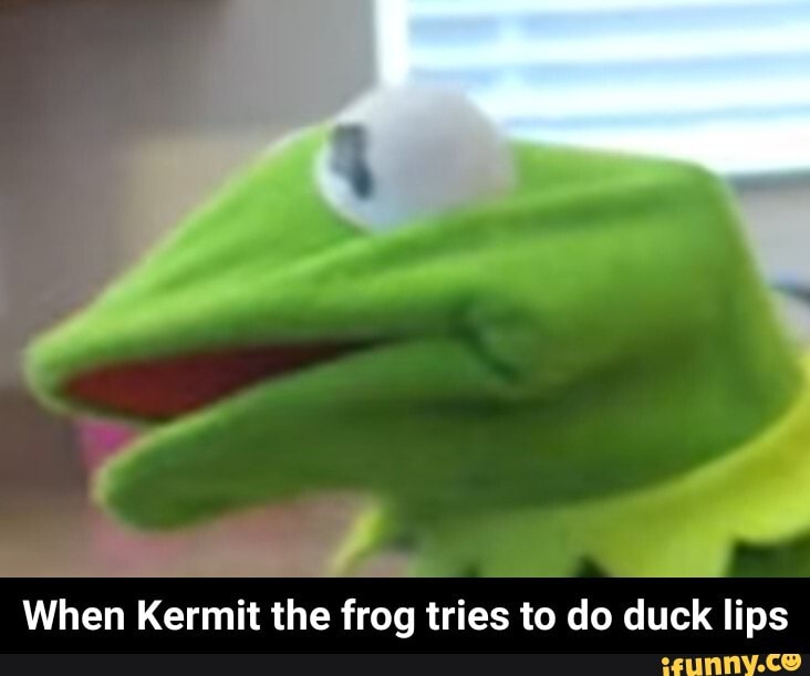 When Kermit the frog tries to do duck lips - When Kermit the frog tries to do duck lips