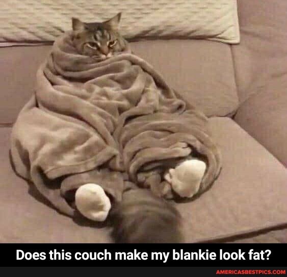 Does this couch make my blankie look fat? - Does this couch make my blankie look fat?