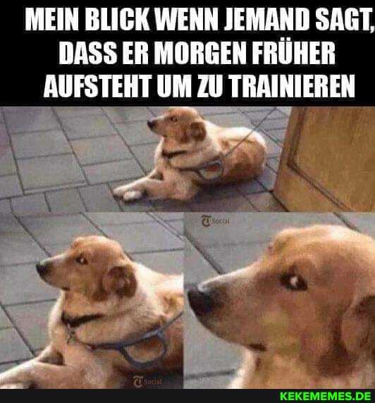 MEIN BLICK WENN JEMAND SAGT,
DASS ER MORGEN FRÜHER AUFSTEHT UM ZU TRAINIEREN
wie