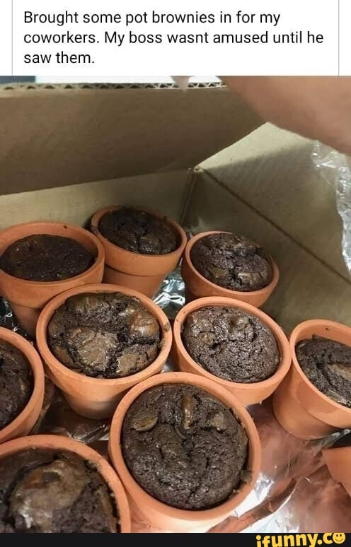 Brought some pot brownies in for my coworkers. My boss wasnt amused until he saw them.