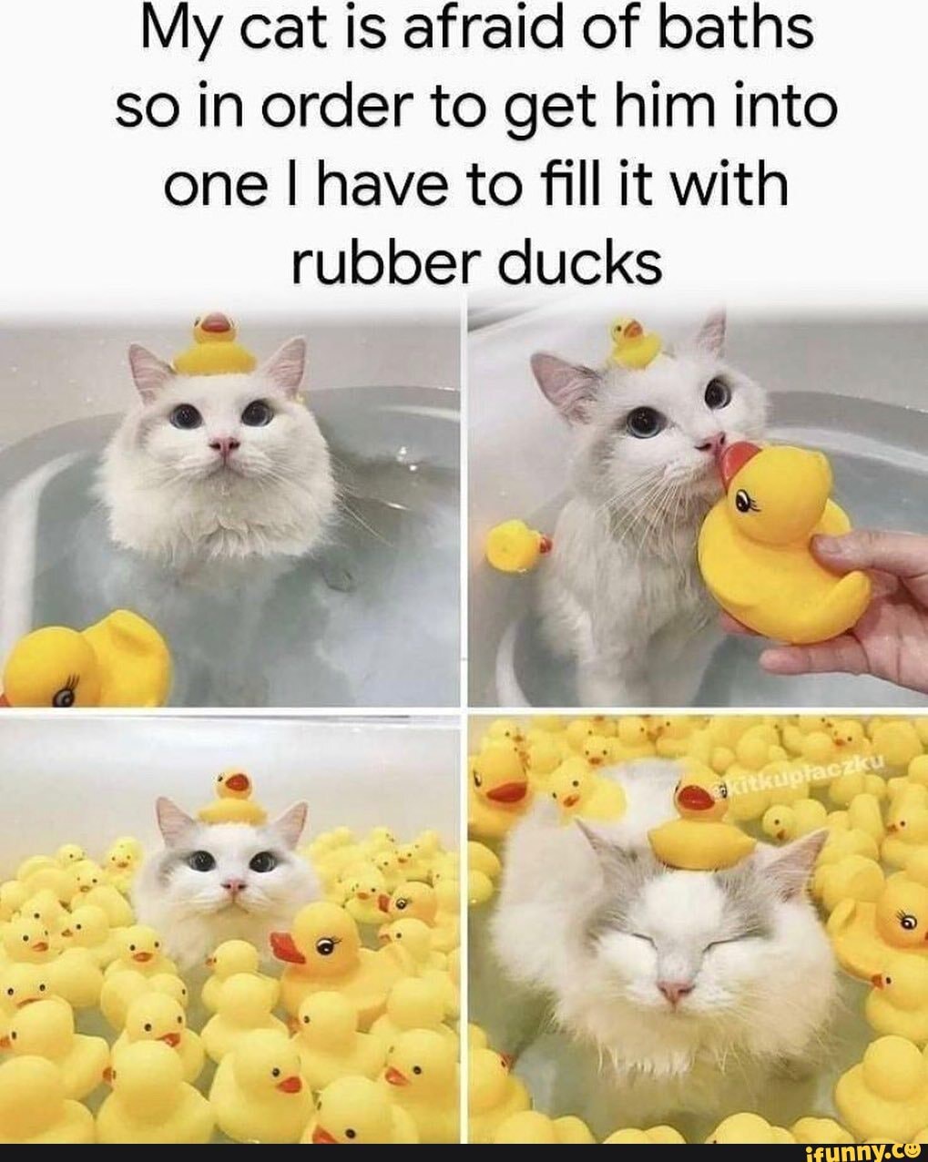 My cat is afraid of baths so in order to get him into one I have to