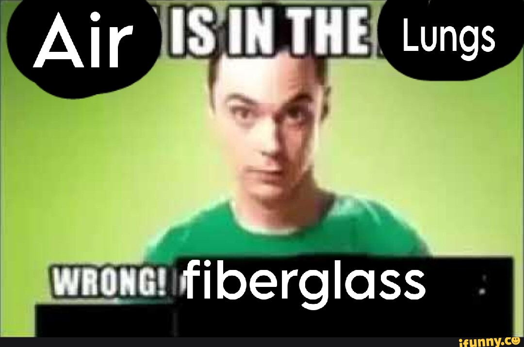 Ir ISIN THE L Alr Lungs 4 Fiberglass iFunny