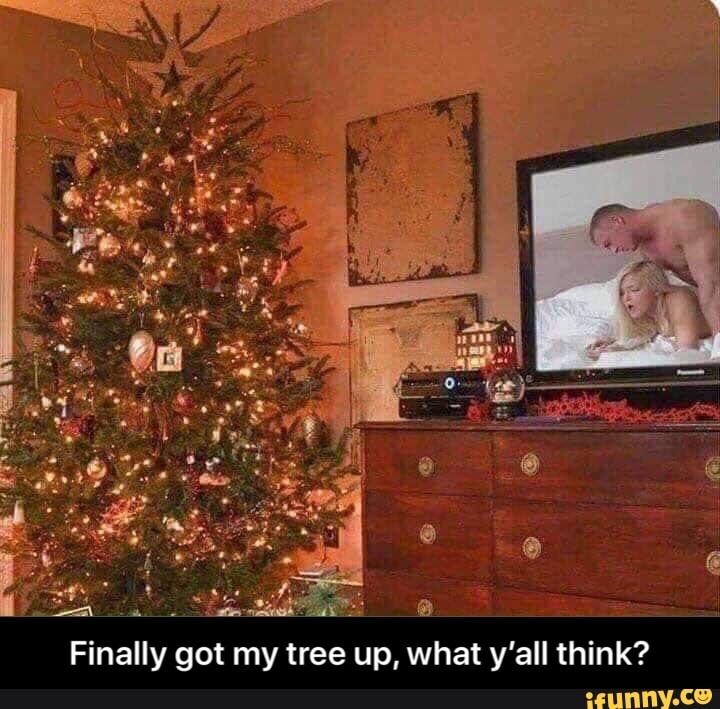 Finally got my tree up, what y'all think? - iFunny :)