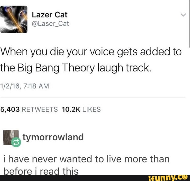 Lazer Cat Laser Cat When you die your voice gets added to the Big Bang