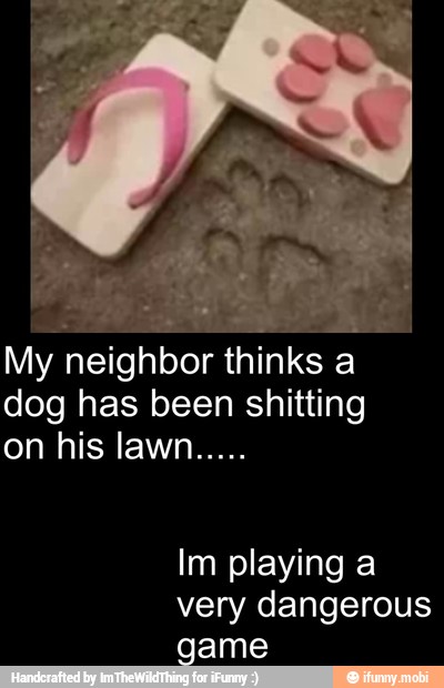 My
Ra OE thinks a
dog has been shitting
game