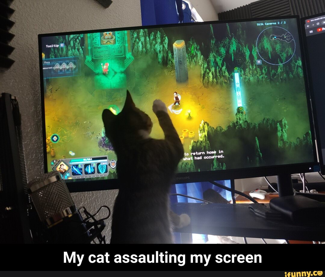My cat assaulting my screen - My cat assaulting my screen