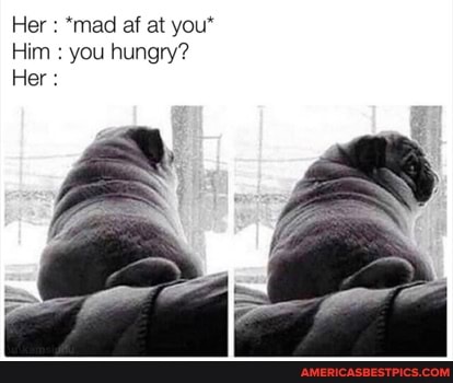 Her : *mad af at you*
Him you hungry?
Her :