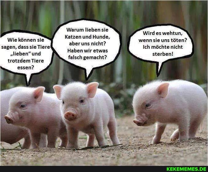 Warum lieben sie
Katzen und Hunde, aber uns nicht?
Haben wir etwas falsch gemacht?
Wird es wehtun, wenn sie uns töten?
Ich möchte nicht sterben!
Wie können sie sagen. dass sie Tiere!
"lieben" und trotzdem Tiere essen?