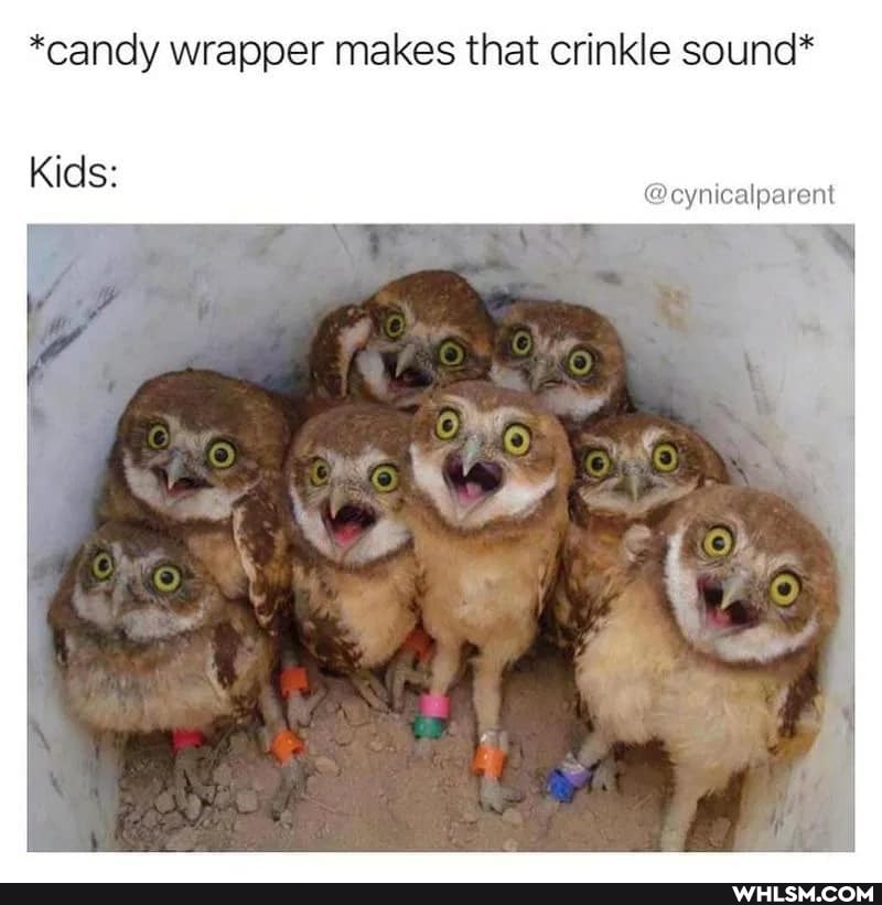 *candy wrapper makes that crinkle sound*
Kids:
@cynicalparent