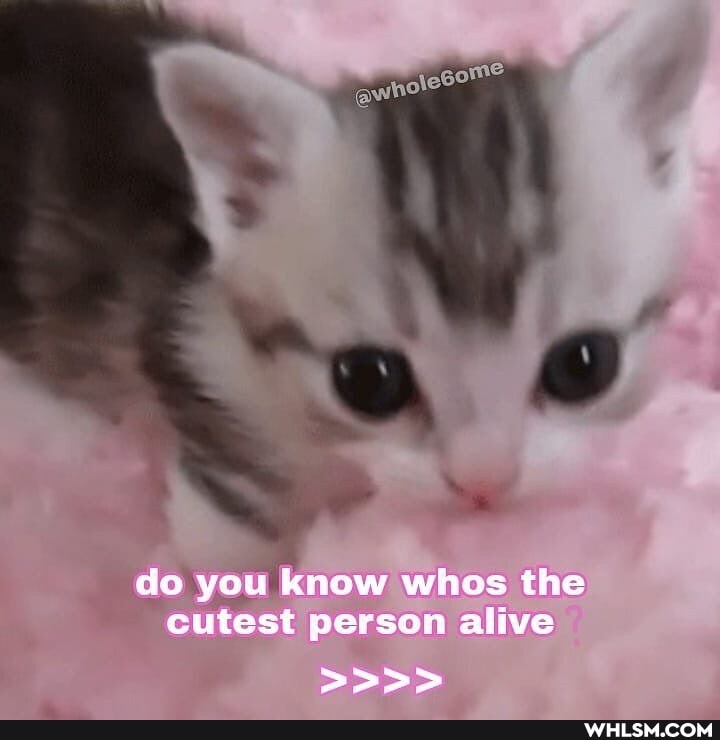 do you know whos the cutest person alive