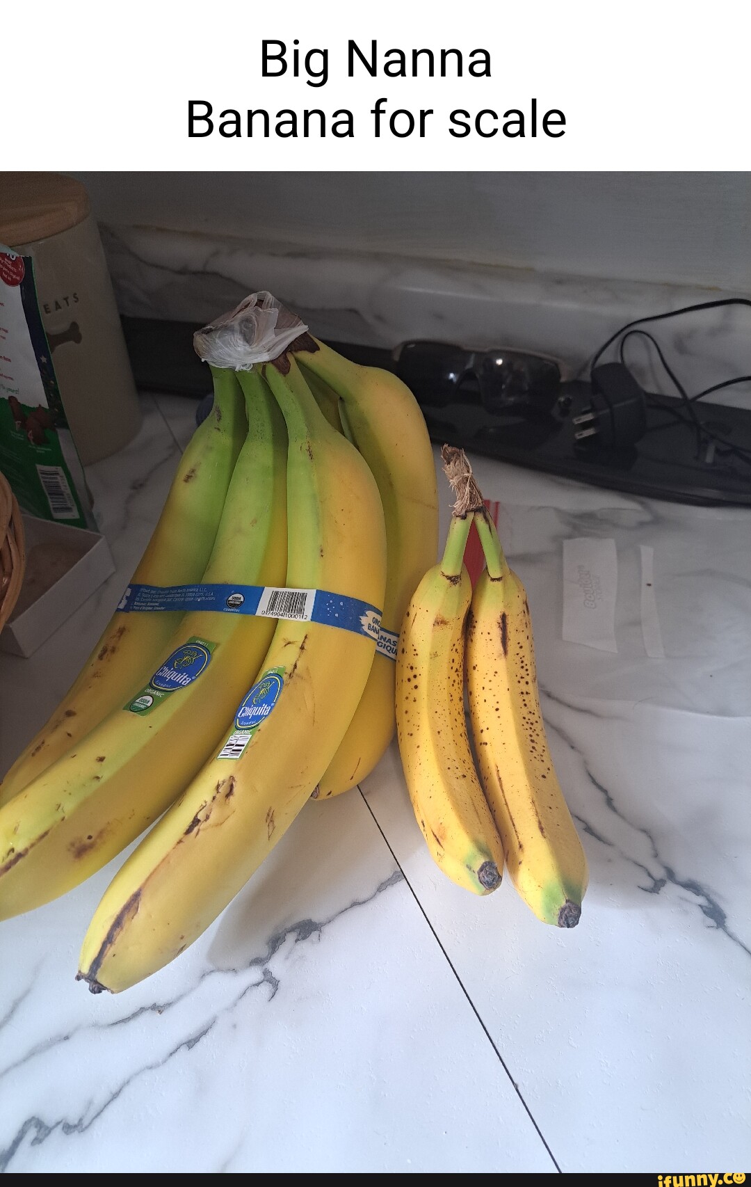 Banana Added for Scale (A New, More Forgiving Unit of Measure