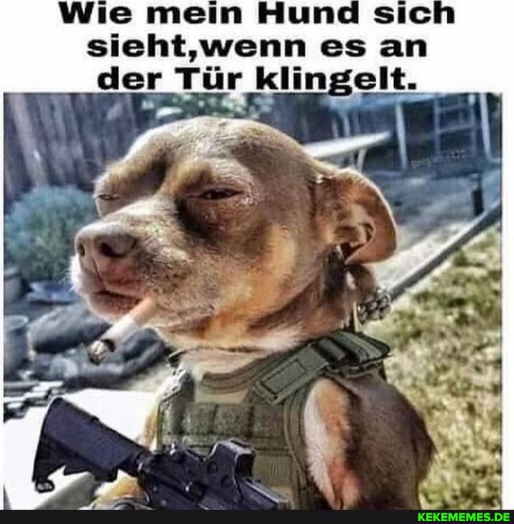 Wie mein Hund sic sieht,wenn es an der Tür klin elt.