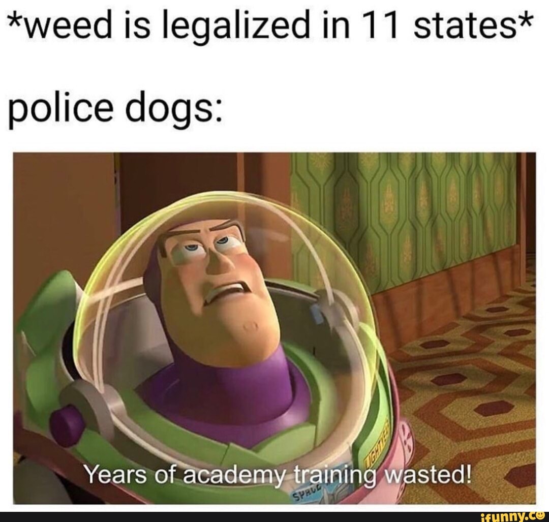 *weed is legalized in 11 states*
police dogs: