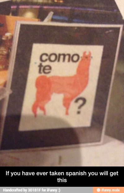 If you have ever taken spanish you will get
this - If you have ever taken spanish you will get this