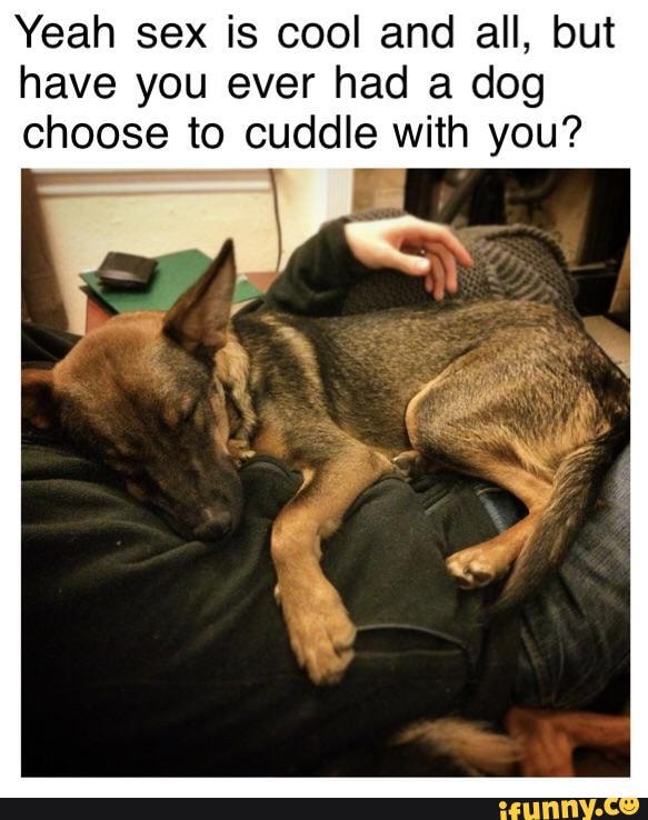 Yeah sex is cool and all, but
have you ever had a dog
choose to cuddle with you?